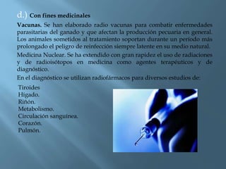 d.) Con fines medicinales
Vacunas. Se han elaborado radio vacunas para combatir enfermedades
parasitarias del ganado y que afectan la producción pecuaria en general.
Los animales sometidos al tratamiento soportan durante un período más
prolongado el peligro de reinfección siempre latente en su medio natural.
Medicina Nuclear. Se ha extendido con gran rapidez el uso de radiaciones
y de radioisótopos en medicina como agentes terapéuticos y de
diagnóstico.
En el diagnóstico se utilizan radiofármacos para diversos estudios de:
Tiroides
Hígado.
Riñón.
Metabolismo.
Circulación sanguínea.
Corazón.
Pulmón.
 