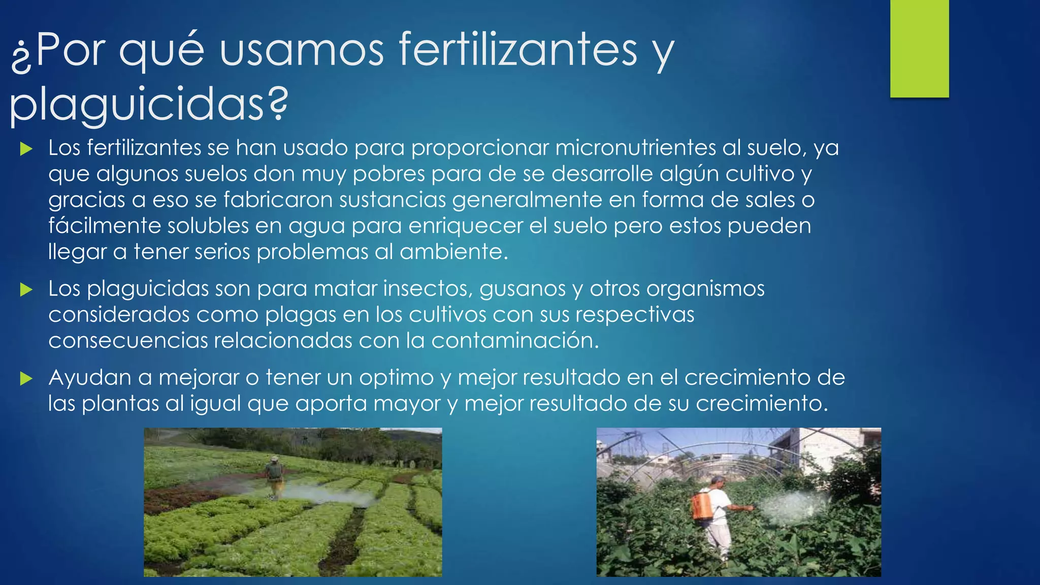 ¿Cuales son los riesgos y beneficios de los fertilizantes y plaguicidas