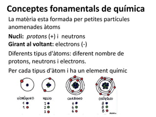 Conceptes fonamentals de química
La matèria esta formada per petites partícules
anomenades àtoms
Nucli: protons (+) i neutrons
Girant al voltant: electrons (-)
Diferents tipus d'àtoms: diferent nombre de
protons, neutrons i electrons.
Per cada tipus d'àtom i ha un element químic
 