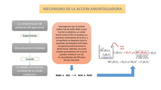 La concentración de
protones del agua pura
Una elevación inmediata
Se añade una mínima
cantidad de un ácido
cualquiera.
Experimenta
Cuando
Supongamos que al acetato
sódico (sal de ácido débil y base
fuerte) le añadimos un ácido
fuerte como el HCl se produce un
aumento instantáneo de la [H+], y
el equilibrio se desplaza hacia la
izquierda, formándose AcH hasta
recuperarse prácticamente la
[AcH] inicial. Además, los iones
acetato procedentes de la sal se
pueden combinar con los
H+ procedentes del HCl para
formar más AcH.
 