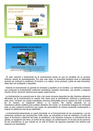 ¿CUAL ES LA IMPORTANCIA DE LA BIODIVERSIDAD?
El valor esencial y fundamental de la biodiversidad reside en que es resultado de un proceso
histórico natural de granantigüedad. Por esta sola razón, la diversidad biológica tiene el inalienable
derecho de continuar su existencia. El hombre y su cultura, como producto y parte de esta diversidad,
debe velar por protegerla y respetarla.
Además la biodiversidad es garante de bienestar y equilibrio en la biosfera. Los elementos diversos
que componen la biodiversidad conforman verdaderas unidades funcionales, que aportan y aseguran
muchos de los “servicios” básicos para nuestra supervivencia.
La biodiversidad es esencial para la vida y los seres humanos dependen de ella. Nosotros utilizamos
elementos de la biodiversidad en nuestra vida diaria para la alimentación, medicina y construcción,
entre otros. También nos presta importantes servicios ambientales como la captura de CO2, el control
de la erosión, la regulación hídrica, y el turismo. No menos relevante es su
importancia cultural y estética para pueblos alrededor del mundo. La diversidad biológica de Venezuela
tiene un gran potencial económico que puede ser desarrollado de manera sostenible contribuyendo a
mejorar la calidad de vida de los habitantes.
La biodiversidad desempeña un papel importante en el funcionamiento de los ecosistemas y en los
numerosos servicios que proporcionan. Entre estos, se encuentran el ciclo de nutrientes y el ciclo del
agua, la formación y retención del suelo, la resistencia a las especies invasoras, la polinización de las
plantas, la regulación del clima, el control de las plagas y la contaminación. En el caso de los servicios
de los ecosistemas, lo que importa es no sólo el número de especies presentes sino también qué
especies son abundantes.
 