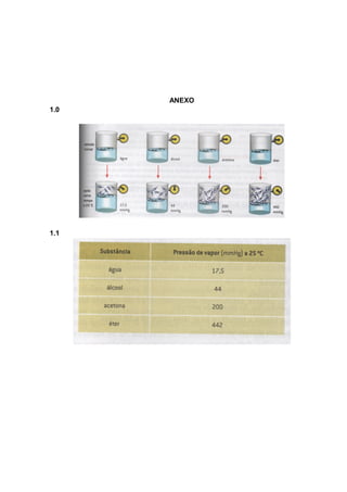 ANEXO
1.0
1.1
 