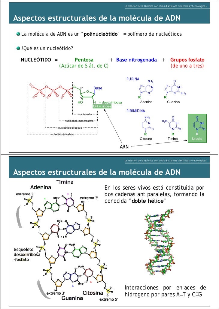 LA RELACION DE LA QUIMICA CON OTRAS DISCIPLINAS