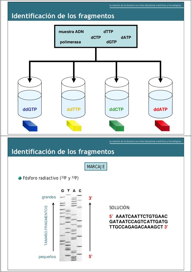 LA RELACION DE LA QUIMICA CON OTRAS DISCIPLINAS