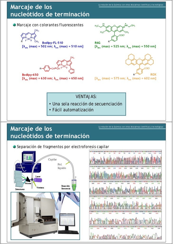 LA RELACION DE LA QUIMICA CON OTRAS DISCIPLINAS
