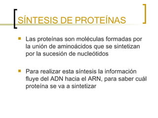 SÍNTESIS DE PROTEÍNAS Las proteínas son moléculas formadas por la unión de aminoácidos que se sintetizan por la sucesión de nucleótidos Para realizar esta síntesis la información fluye del ADN hacia el ARN, para saber cuál proteína se va a sintetizar 