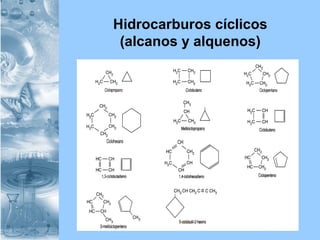 Hidrocarburos cíclicos
(alcanos y alquenos)
 