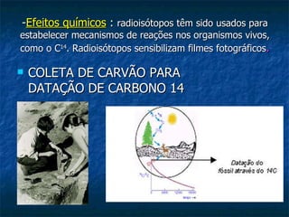 - Efeitos químicos  :  radioisótopos têm sido usados para estabelecer mecanismos de reações nos organismos vivos, como o C 14 . Radioisótopos sensibilizam filmes fotográficos . COLETA DE CARVÃO PARA  DATAÇÃO DE CARBONO 14  