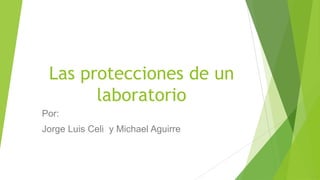 Las protecciones de un
       laboratorio
Por:
Jorge Luis Celi y Michael Aguirre
 