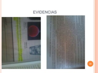 EVIDENCIAS
23
 