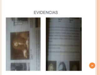 EVIDENCIAS
26
 