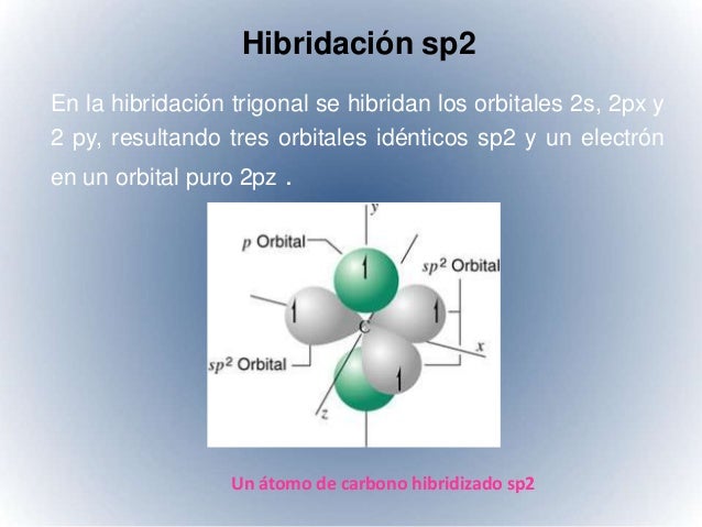 Quimica 11 (hibridación del carbono)