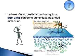 105
 La tensión superficial en los líquidos
aumenta conforme aumenta la polaridad
molecular
 