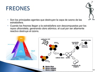  Son los principales agentes que destruyen la capa de ozono de las
estratósfera.
 Cuando los freones llegan a la estratósfera son descompuestos por los
rayos ultravioleta, generando cloro atómico, el cual por ser altamente
reactivo destruye el ozono.
129
 