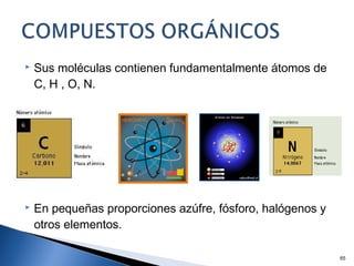  Sus moléculas contienen fundamentalmente átomos de
C, H , O, N.
 En pequeñas proporciones azúfre, fósforo, halógenos y
otros elementos.
65
 