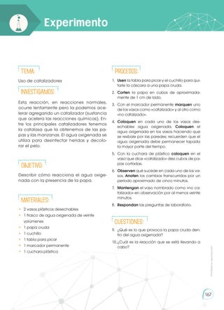 Prohibida
su
reproducción
167
Experimento
Tema:
Uso de catalizadores
INVESTIGAMOS:
Esta reacción, en reacciones normales,
ocurre lentamente pero la podemos ace-
lerar agregando un catalizador (sustancia
que acelera las reacciones químicas). En-
tre los principales catalizadores tenemos
la catalasa que la obtenemos de las pa-
pas y las manzanas. El agua oxigenada se
utiliza para desinfectar heridas y decolo-
rar el pelo.
Objetivo:
Describir cómo reacciona el agua oxige-
nada con la presencia de la papa.
Materiales:
•	 2 vasos plásticos desechables
•	 1 frasco de agua oxigenada de veinte
	volúmenes
•	 1 papa cruda
•	 1 cuchillo
•	 1 tabla para picar
•	 1 marcador permanente
•	 1 cuchara plástica
Procesos:
1.	 Usen la tabla para picar y el cuchillo para qui-
tarle la cáscara a una papa cruda.
2.	 Corten la papa en cubos de aproximada-
mente de 1 cm de lado.
3.	 Con el marcador permanente marquen uno
de los vasos como «catalizado» y al otro como
«no catalizado».
4.	 Coloquen en cada uno de los vasos des-
echables agua oxigenada. Coloquen el
agua oxigenada en los vasos haciendo que
se resbale por las paredes; recuerden que el
agua oxigenada debe permanecer tapada
la mayor parte del tiempo.
5.	 Con la cuchara de plástico coloquen en el
vaso que dice «catalizado» diez cubos de pa-
pas cortadas.
6.	 Observen qué sucede en cada uno de los va-
sos. Anoten los cambios transcurridos por un
período aproximado de cinco minutos.
7.	 Mantengan el vaso nombrado como «no ca-
talizado» en observación por al menos veinte
minutos.
8.	 Respondan las preguntas de laboratorio.
CUESTIONES:
9.	 ¿Qué es lo que provoca la papa cruda den-
tro del agua oxigenada?
10.	
¿Cuál es la reacción que se está llevando a
cabo?
 