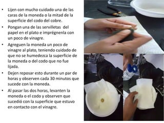 • Lijen con mucho cuidado una de las
caras de la moneda o la mitad de la
superficie del codo del cobre.
• Pongan una de las servilletas del
papel en el plato e imprégnenla con
un poco de vinagre.
• Agreguen la moneda un poco de
vinagre al plato, teniendo cuidado de
que no se humedezca la superficie de
la moneda o del codo que no fue
lijada.
• Dejen reposar esto durante un par de
horas y observen cada 30 minutos que
sucede con la moneda.
• Al pasar las dos horas, levanten la
moneda o el codo y observen que
sucedió con la superficie que estuvo
en contacto con el vinagre.
 