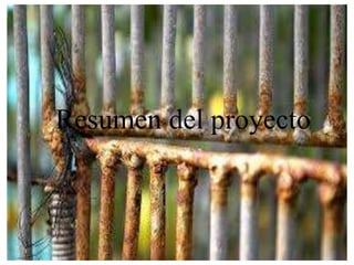 Resumen del proyecto
 