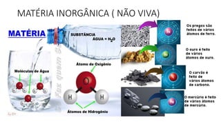 MATÉRIA INORGÂNICA ( NÃO VIVA)
 