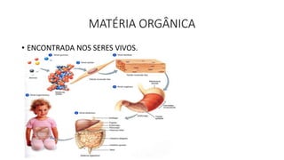 MATÉRIA ORGÂNICA
• ENCONTRADA NOS SERES VIVOS.
 