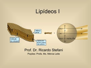 Lipídeos I Prof. Dr. Ricardo Stefani Poções: Profa. Ms. Mércia Leite 
