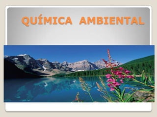 QUÍMICA  AMBIENTAL 