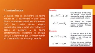  La capa de ozono
El ozono (O3) se encuentra en forma
natural en la estratósfera y sirve como
filtro a las dañinas radiaciones ultravioleta
(UV), las cuales tienen efectos
perjudiciales para la salud y los cultivos. El
ozono se destruye y se forma
constantemente, utilizando la energía
solar, lo cual permite que su concentración
en la estratosfera se mantenga estable.
 