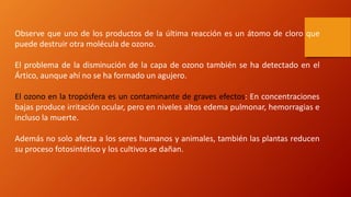 Observe que uno de los productos de la última reacción es un átomo de cloro que
puede destruir otra molécula de ozono.
El problema de la disminución de la capa de ozono también se ha detectado en el
Ártico, aunque ahí no se ha formado un agujero.
El ozono en la tropósfera es un contaminante de graves efectos: En concentraciones
bajas produce irritación ocular, pero en niveles altos edema pulmonar, hemorragias e
incluso la muerte.
Además no solo afecta a los seres humanos y animales, también las plantas reducen
su proceso fotosintético y los cultivos se dañan.
 