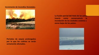 Incremento de incendios forestales.
Periodos de sequía prolongados
por lo que los cultivos se verán
seriamente afectados.
La fusión parcial del hielo de los polos
traería como consecuencia la
inundación de las ciudades costeras y
zonas bajas de los países.
 