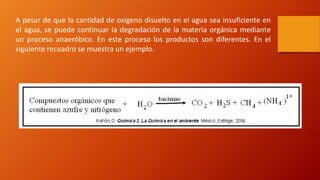 A pesar de que la cantidad de oxígeno disuelto en el agua sea insuficiente en
el agua, se puede continuar la degradación de la materia orgánica mediante
un proceso anaeróbico. En este proceso los productos son diferentes. En el
siguiente recuadro se muestra un ejemplo.
 