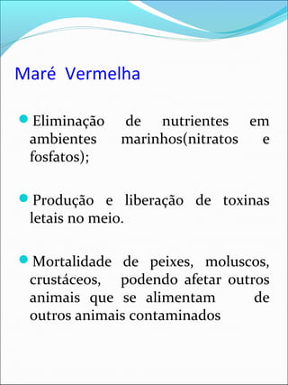Maré Vermelha
Eliminação de nutrientes em
ambientes marinhos(nitratos e
fosfatos);
Produção e liberação de toxinas
letais no meio.
Mortalidade de peixes, moluscos,
crustáceos, podendo afetar outros
animais que se alimentam de
outros animais contaminados
 