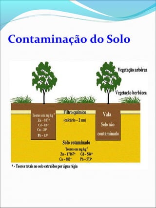 Contaminação do Solo
 