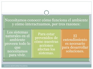 ALEYDA MONTAÑEZ PALENCIA
 