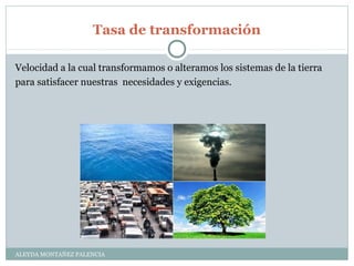 Tasa de transformación
ALEYDA MONTAÑEZ PALENCIA
Velocidad a la cual transformamos o alteramos los sistemas de la tierra
para satisfacer nuestras necesidades y exigencias.
 