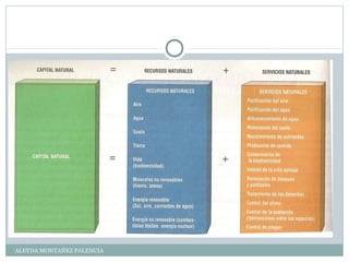 ALEYDA MONTAÑEZ PALENCIA
 