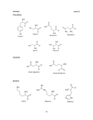 PROTEINAS                                                                                                                            Capítulo III

POLARES:
                   +
                 NH3
                           O                                                 O
                                             +                                                                                   O
                       -                   NH3
                   O                                                  H2N                  O
                                   HS                        O                                                 O                          -
                                                                                                                                      O
                                                                                                   -
                                                     -                                         O                                 +
                                                 O                                                                 NH2       NH3
                                                                                        +
                                                                                      NH3
            OH                          Cisteina                                                                       Asparagina
                                                                                 Glutamina
      Tirosina


                                                                                               +
                                             O                                             NH3

                                                             -               H3C                           O
                               HO                        O
                                             +                                                     -
                                          NH3                                         OH     O
                                        Serina                                        Treonina




ACIDOS:
                                                 +                                    O
                                    O       NH3
                                                                                                                   +
                                                                                                               NH3
                                                                 O               HO
                           HO
                                                         -
                                                   O                                                   -
                                                                                                   O           O
                               Acido Aspartico
                                                                                      Acido Glutamico




BASES:

                                                                 NH                                                          O
     NH2                                                                                                                                   -
                                                                                                                                       O
                                                                                                                         +
                                             H2N                      NH               +
                                                                                                                   H3N
                     +
                   NH3                                                             NH3

                                   O                                                           O

                               -                                                           -                       N         NH
                           O                                                           O
             Lisina                                                    Arginina                                        Histidina




                                                                        19
 