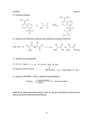PROTEINAS                                                                                                   Capítulo III

5.- cloruro de dansilo
                                                                                   H3C        CH3
                                                                                          N
            H3C         CH3
                   N
                                                    R           O
                                                                        - HCl
                                       +             +              -
                                                H3N             O                             O    S    O

                       O    S     O                                                       R        NH

                            Cl
                                                                                         HO        O

6.- reacción con hidracina, reacción para carboxilos excepto el terminal.

                                 O         R2
                                                        -                    R2      O            R1         O
                       R1                           O
H2N    NH2     +                      NH                                                  +
                              +
                            NH3                 O                         H2N        OH       H2N            NH NH2




7.- reacción de los tiogrupos


R     SH   +   2 NaOH                       R       OH      +    Na2S   +   H2O

R= estructura del aminoacido
                                                            Pb(CH3COO)2              2 CH3COONa         +      PbS 



8.- reacción HOPKINS – COLE, especifica para triptófano.

                                       1.- Acido Glioxilico
                       Triptofano                                           solido (pp) negro
                                       2.- H2SO4




Además de estas reacciones existen otras en las que intervienen enzimas por lo
que se denomina reacciones enzimáticas.




                                                            22
 