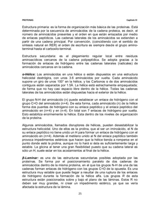 PROTEINAS                                                                  Capítulo III


Estructura primaria: es la forma de organización más básica de las proteínas. Está
determinada por la secuencia de aminoácidos de la cadena proteica, es decir, el
número de aminoácidos presentes y el orden en que están enlazados por medio
de enlaces peptídicos. Las cadenas laterales de los aminoácidos se extienden a
partir de una cadena principal. Por convención, (coincidiendo con el sentido de
síntesis natural en RER) el orden de escritura es siempre desde el grupo amino-
terminal hasta el carboxilo-terminal.

Estructura secundaria: es el plegamiento regular local entre residuos
aminoacídicos cercanos de la cadena polipeptídica. Se adopta gracias a la
formación de enlaces de hidrógeno entre las cadenas laterales (radicales) de
aminoácidos cercanos en la cadena.

α-Hélice: Los aminoácidos en una hélice α están dispuestos en una estructura
helicoidal dextrógira, con unos 3.6 aminoácidos por vuelta. Cada aminoácido
supone un giro de unos 100° en la hélice, y los Carbonos α de dos aminoácidos
contiguos están separados por 1.5Å. La hélice está estrechamente empaquetada;
de forma que no hay casi espacio libre dentro de la hélice. Todas las cadenas
laterales de los aminoácidos están dispuestas hacia el exterior de la hélice.

El grupo N-H del aminoácido (n) puede establecer un enlace de hidrógeno con el
grupo C=O del aminoácido (n+4). De esta forma, cada aminoácido (n) de la hélice
forma dos puentes de hidrógeno con su enlace peptídico y el enlace peptídico del
aminoácido en (n+4) y en (n-4). En total son 7 enlaces de hidrógeno por vuelta.
Esto estabiliza enormemente la hélice. Esta dentro de los niveles de organización
de la proteína.

Algunos aminoácidos, llamados disruptores de hélices, pueden desestabilizar la
estructura helicoidal. Uno de ellos es la prolina, que al ser un iminoácido, el N de
su enlace peptídico no tiene unido un H para formar un enlace de hidrógeno con el
aminoácido en (n+4). Además el metileno unido al N del enlace peptídico también
provoca impedimentos estéricos que hacen que la hélice tienda a romperse en el
punto donde esté la prolina, aunque no lo hará si ésta es suficientemente larga y
estable. La glicina al tener una gran flexibilidad puesto que su cadena lateral es
sólo un H, suele estar en los acodamientos al final de la hélice.

β-Laminar: es una de las estructuras secundarias posibles adoptada por las
proteínas. Se forma por el posicionamiento paralelo de dos cadenas de
aminoácidos dentro de la misma proteína, en el que los grupos N-H de una de las
cadenas forman enlaces de hidrógeno con los grupos C=O de la opuesta. Es una
estructura muy estable que puede llegar a resultar de una ruptura de los enlaces
de hidrógeno durante la formación de la hélice alfa. Los grupos R de esta
estructura están posicionados sobre y bajo el plano de las láminas. Estos R no
deben ser muy grandes, ni crear un impedimento estérico, ya que se vería
afectada la estructura de la lámina.

                                        25
 