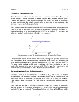 PROTEINAS                                                                        Capítulo III


Cinética de michaelis-menten

Describe la velocidad de reacción de muchas reacciones enzimáticas. Su nombre
es en honor a Leonor Michaelis y Maude Menten. Este modelo sólo es válido
cuando la concentración del sustrato es mayor que la concentración de la enzima,
y para condiciones de estado estacionario, o sea que la concentración del
complejo enzima-sustrato es constante.

Para determinar la velocidad máxima de una reacción enzimática, la concentración
de sustrato [S] se aumenta hasta alcanzar una velocidad constante de formación
de producto. Esa es la velocidad máxima (Vmax) de la enzima. En ese caso, los
sitios activos de la enzima están saturados con sustrato.




            Diagrama de velocidad de reacción y constante de Michaelis-Menten.

La velocidad V indica el número de reacciones por segundo que son catalizadas
por una enzima. Con concentraciones crecientes de sustrato [S], la enzima va
acercándose asintóticamente su velocidad máxima Vmax, pero nunca la alcanza.
Por esta razón, no hay un [S] determinado para la Vmax. De todas formas, el
parámetro característico de la enzima está definido por la concentración de
sustrato a la cual se alcanza la mitad de la velocidad máxima (Vmax/2).

Constante y ecuación de Michaelis-menten

Entonces, aunque la concentración de sustrato a V max no puede ser medida
exactamente, las enzimas pueden ser caracterizadas por la concentración de
sustrato a la cual la velocidad de reacción es la mitad de la velocidad máxima.
Esta concentración de sustrato se conoce como constante de Michaelis-Menten
(KM).

Esta constante representa (para enzimas que exhiben una cinética de Michaelis-
Menten simple), la constante de disociación (la afinidad del complejo enzima-
sustrato (ES) por el sustrato). Valores bajos indican que el complejo ES está unido


                                           35
 