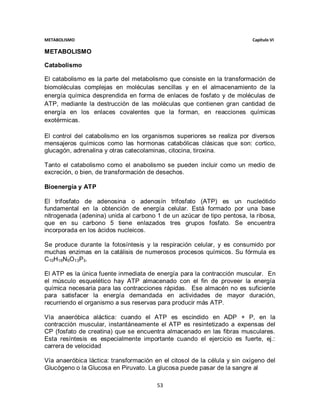 METABOLISMO                                                               Capítulo VI

METABOLISMO

Catabolismo

El catabolismo es la parte del metabolismo que consiste en la transformación de
biomoléculas complejas en moléculas sencillas y en el almacenamiento de la
energía química desprendida en forma de enlaces de fosfato y de moléculas de
ATP, mediante la destrucción de las moléculas que contienen gran cantidad de
energía en los enlaces covalentes que la forman, en reacciones químicas
exotérmicas.

El control del catabolismo en los organismos superiores se realiza por diversos
mensajeros químicos como las hormonas catabólicas clásicas que son: cortico,
glucagón, adrenalina y otras catecolaminas, citocina, tiroxina.

Tanto el catabolismo como el anabolismo se pueden incluir como un medio de
excreción, o bien, de transformación de desechos.

Bioenergía y ATP

El trifosfato de adenosina o adenosín trifosfato (ATP) es un nucleótido
fundamental en la obtención de energía celular. Está formado por una base
nitrogenada (adenina) unida al carbono 1 de un azúcar de tipo pentosa, la ribosa,
que en su carbono 5 tiene enlazados tres grupos fosfato. Se encuentra
incorporada en los ácidos nucleicos.

Se produce durante la fotosíntesis y la respiración celular, y es consumido por
muchas enzimas en la catálisis de numerosos procesos químicos. Su fórmula es
C10H16N5O13P3.

El ATP es la única fuente inmediata de energía para la contracción muscular. En
el músculo esquelético hay ATP almacenado con el fin de proveer la energía
química necesaria para las contracciones rápidas. Ese almacén no es suficiente
para satisfacer la energía demandada en actividades de mayor duración,
recurriendo el organismo a sus reservas para producir más ATP.

Vía anaeróbica aláctica: cuando el ATP es escindido en ADP + P, en la
contracción muscular, instantáneamente el ATP es resintetizado a expensas del
CP (fosfato de creatina) que se encuentra almacenado en las fibras musculares.
Esta resíntesis es especialmente importante cuando el ejercicio es fuerte, ej.:
carrera de velocidad.

Vía anaeróbica láctica: transformación en el citosol de la célula y sin oxígeno del
Glucógeno o la Glucosa en Piruvato. La glucosa puede pasar de la sangre al

                                        53
 