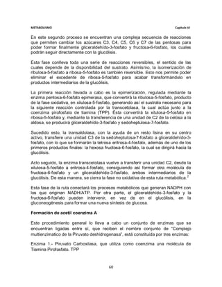 METABOLISMO                                                                  Capítulo VI


En este segundo proceso se encuentran una compleja secuencia de reacciones
que permiten cambiar los azúcares C3, C4, C5, C6 y C7 de las pentosas para
poder formar finalmente gliceraldehído-3-fosfato y fructosa-6-fosfato, los cuales
podrán seguir directamente con la glucólisis.

Esta fase conlleva toda una serie de reacciones reversibles, el sentido de las
cuales depende de la disponibilidad del sustrato. Asimismo, la isomerización de
ribulosa-5-fosfato a ribosa-5-fosfato es también reversible. Esto nos permite poder
eliminar el excedente de ribosa-5-fosfato para acabar transformándolo en
productos intermediarios de la glucólisis.

La primera reacción llevada a cabo es la epimerización, regulada mediante la
enzima pentosa-6-fosfato epimerasa, que convertirá la ribulosa-5-fosfato, producto
de la fase oxidativa, en xilulosa-5-fosfato, generando así el sustrato necesario para
la siguiente reacción controlada por la transcetolasa, la cual actúa junto a la
coenzima pirofosfato de tiamina (TPP). Ésta convertirá la xilulosa-5-fosfato en
ribosa-5-fosfato y, mediante la transferencia de una unidad de C2 de la cetosa a la
aldosa, se producirá gliceraldehído-3-fosfato y sedoheptulosa-7-fosfato.

Sucedido esto, la transaldolasa, con la ayuda de un resto lisina en su centro
activo, transfiere una unidad C3 de la sedoheptulosa-7-fosfato a gliceraldehído-3-
fosfato, con lo que se formarán la tetrosa eritrosa-4-fosfato, además de uno de los
primeros productos finales: la hexosa fructosa-6-fosfato, la cual se dirigirá hacia la
glucólisis.

Acto seguido, la enzima transcetolasa vuelve a transferir una unidad C2, desde la
xilulosa-5-fosfato a eritrosa-4-fosfato, consiguiendo así formar otra molécula de
fructosa-6-fosfato y un gliceraldehído-3-fosfato, ambos intermediarios de la
glucólisis. De esta manera, se cierra la fase no oxidativa de esta ruta metabólica. 2

Esta fase de la ruta conectará los procesos metabólicos que generan NADPH con
los que originan NADH/ATP. Por otra parte, el gliceraldehído-3-fosfato y la
fructosa-6-fosfato pueden intervenir, en vez de en el glucólisis, en la
gluconeogénesis para formar una nueva síntesis de glucosa.

Formación de acetil coenzima A

Este procedimiento general lo lleva a cabo un conjunto de enzimas que se
encuentran ligadas entre sí, que reciben el nombre conjunto de “Complejo
multienzimatico de la Piruvato deshidrogenasa”, está constituida por tres enzimas:

Enzima 1.- Piruvato Carboxilasa, que utiliza como coenzima una molécula de
Tiamina Pirofosfato. TPP



                                         60
 