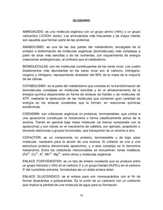 GLOSARIO


AMINOACIDO: es una molécula orgánica con un grupo amino (-NH2) y un grupo
carboxílico (-COOH; ácido). Los aminoácidos más frecuentes y de mayor interés
son aquellos que forman parte de las proteínas.

ANABOLISMO: es una de las dos partes del metabolismo, encargada de la
síntesis o bioformación de moléculas orgánicas (biomoléculas) más complejas a
partir de otras más sencillas o de los nutrientes, con requerimiento de energía
(reacciones endergónicas), al contrario que el catabolismo.

BIOMOLECULAS: son las moléculas constituyentes de los seres vivos. Los cuatro
bioelementos más abundantes en los seres vivos son el carbono, hidrógeno,
oxígeno y nitrógeno, representando alrededor del 99% de la masa de la mayoría
de las células.

CATABOLISMO: es la parte del metabolismo que consiste en la transformación de
biomoléculas complejas en moléculas sencillas y en el almacenamiento de la
energía química desprendida en forma de enlaces de fosfato y de moléculas de
ATP, mediante la destrucción de las moléculas que contienen gran cantidad de
energía en los enlaces covalentes que la forman, en reacciones químicas
exotérmicas.

COENZIMA: son cofactores orgánicos no proteicos, termoestables, que unidos a
una apoenzima constituyen la holoenzima o forma catalíticamente activa de la
enzima. Tienen en general baja masa molecular (al menos comparada con la
apoenzima) y son claves en el mecanismo de catálisis, por ejemplo, aceptando o
donando electrones o grupos funcionales, que transportan de un enzima a otro.

COFACTOR: es un componente no proteico, termoestable y de bajo peso
molecular, necesario para la acción de una enzima. El cofactor se une a una
estructura proteica denominada apoenzima, y a este complejo se le denomina
holoenzima. Entre los cofactores mencionables se encuentran: Iones metálicos
(Fe2+ , Cu2+, K+, Mn2+, Mg2+, entre otros) y moléculas orgánicas

ENLACE FOSFODIESTER: es un tipo de enlace covalente que se produce entre
un grupo hidroxilo (–OH) en el carbono 3' y un grupo fosfato (H3PO 4) en el carbono
5' del nucleótido entrante, formándose así un doble enlace éster.

ENLACE GLUCOSIDICO: es el enlace para unir monosacáridos con el fin de
formar disacáridos o polisacáridos. Es la unión de un carboxilo con un carbonilo
que implica la pérdida de una molecula de agua para su formación.


                                        73
 