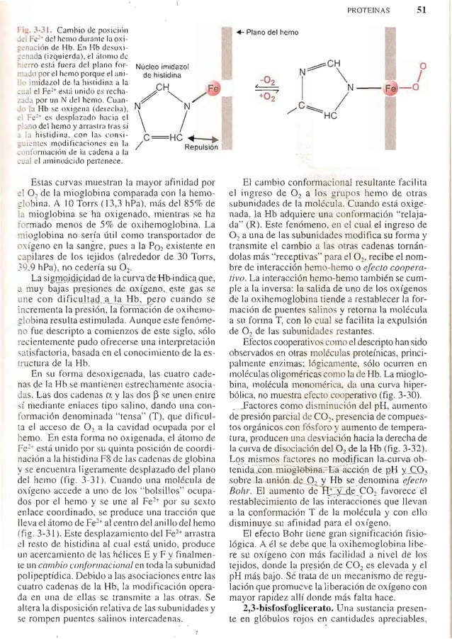 Quimica biologica antonio blanco Quimica biologica antonio blanco
