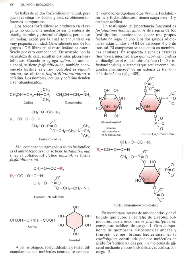 Quimica biologica antonio blanco Quimica biologica antonio blanco