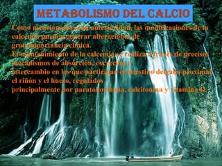 Como mencionamos con anterioridad, las modificaciones de la
calcemia pueden generar alteraciones de
gran importancia clínica.
El mantenimiento de la calcemia se realiza a través de precisos
mecanismos de absorción, excreción e
intercambio en los que participan el intestino delgado proximal,
el riñón y el hueso, regulados
principalmente por paratohormona, calcitonina y vitamina D.
 