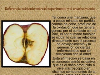 Referencia existente entre el experimento y el envejecimiento
 Tal como una manzana, que
a pocos minutos de partida
cambia de color, producto de
la oxidación que se genera
genera por el contacto con el
aire, el ser humano también
se oxida, lo cual se relaciona
directamente con el proceso
de envejecimiento y la
generación de ciertas
enfermedades que se
relacionan con la edad.
 Esta afirmación se basa en
el concepto estrés oxidativo,
que es el daño producido a
nivel microscópico en
distintos componentes de la
 