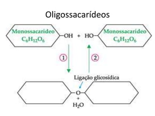 Oligossacarídeos
 