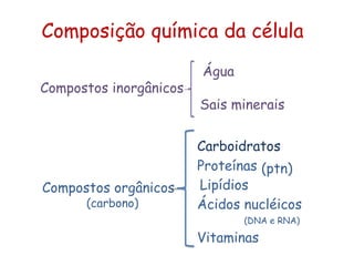 Composição química da célula
                        Água
Compostos inorgânicos
                        Sais minerais


                        Carboidratos
                        Proteínas (ptn)
Compostos orgânicos     Lipídios
      (carbono)         Ácidos nucléicos
                               (DNA e RNA)

                        Vitaminas
 