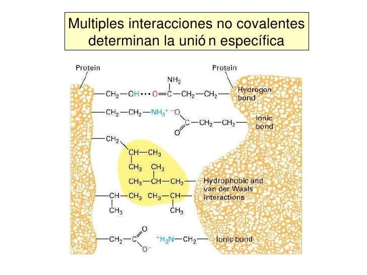 INTRODUCCION A LA QUIMICA ORGANICA