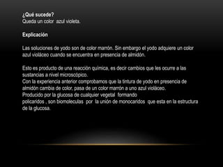 ¿Qué sucede? 
Queda un color azul violeta. 
Explicación 
Las soluciones de yodo son de color marrón. Sin embargo el yodo adquiere un color 
azul violáceo cuando se encuentra en presencia de almidón. 
Esto es producto de una reacción química, es decir cambios que les ocurre a las 
sustancias a nivel microscópico. 
Con la experiencia anterior comprobamos que la tintura de yodo en presencia de 
almidón cambia de color, pasa de un color marrón a uno azul violáceo. 
Producido por la glucosa de cualquier vegetal formando 
policaridos , son biomoleculas por la unión de monocaridos que esta en la estructura 
de la glucosa. 
 